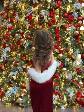 Women’s Red JLUXLABEL dress